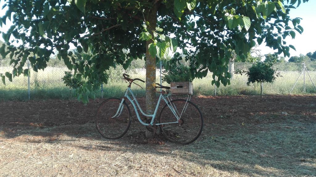 Séjour à la campagne Sa Estada