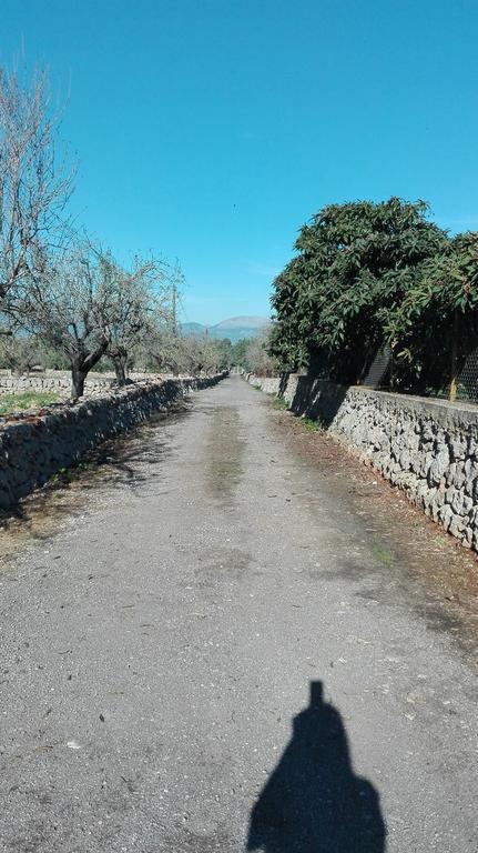 Sa Estada Séjour à la campagne Sineu (Mallorca)